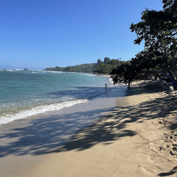 Meet your Posher, Chelsea - Picture 1 of 1